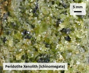 A peridotite xenolith from Ichinomegata, Japan. This rock is mainly composed of olivine, orthopyroxene and clinopyroxene.